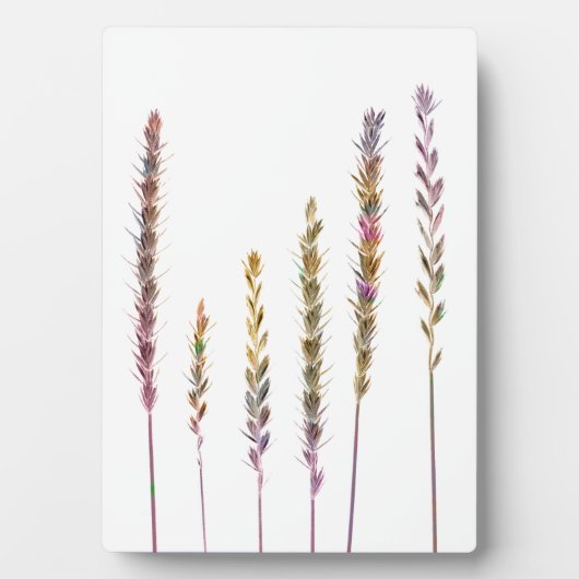 Farbige Gras Fotoplatte (Vorderseite)