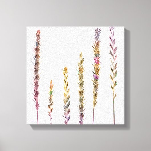 Farbige Gras Leinwanddruck (Vorderseite)