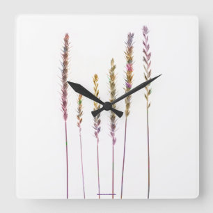 Farbige Gras Quadratische Wanduhr