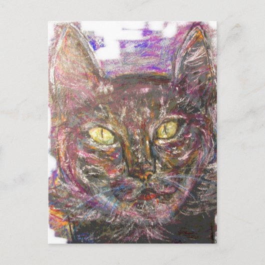 farbige Graukatze Postkarte (Vorderseite)