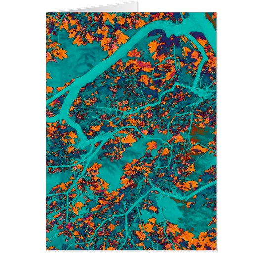 Farbige Grünbäume und Orangenbäume (Vorne)