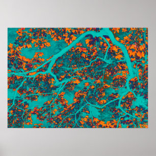 Farbige Grünbäume und Orangenbäume Poster