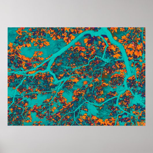 Farbige Grünbäume und Orangenbäume Poster (Vorne)