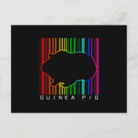 Farbige Guinea | NIEDLICHE GUINEA | Niedliches Tie