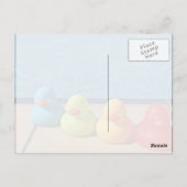 Farbige Gummienten Postkarte (Rückseite)