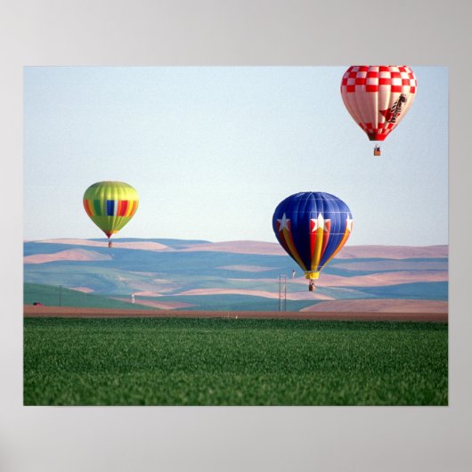 Farbige Heißluftballons schweben über Weizen Poster (Vorne)