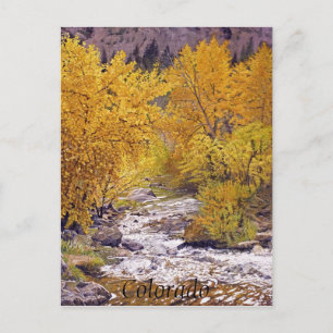 Farbige Herbst-Aspenbäume in Morrison Colorado Postkarte