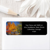 Farbige Herbstbäume (Insitu)