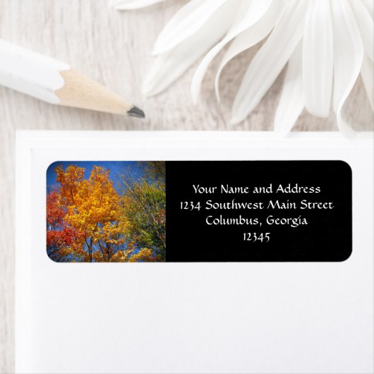 Farbige Herbstbäume (Insitu)