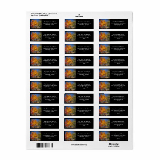 Farbige Herbstbäume (Vorne)