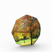 Farbige Herbstbäume Fotoblock (Links)