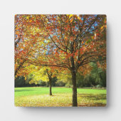 Farbige Herbstbäume Fotoplatte (Vorderseite)