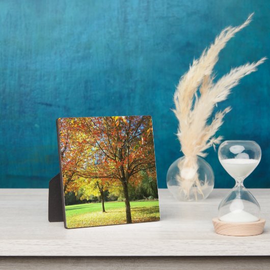 Farbige Herbstbäume Fotoplatte (InSitu)