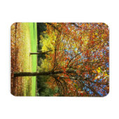 Farbige Herbstbaume Magnet (Horizontal)