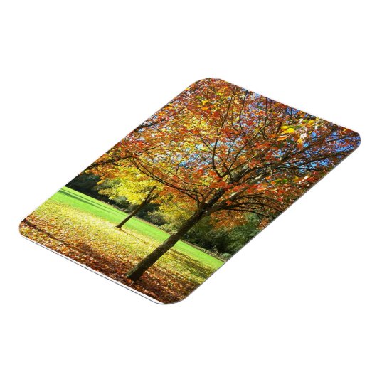 Farbige Herbstbaume Magnet (Linke Seite)