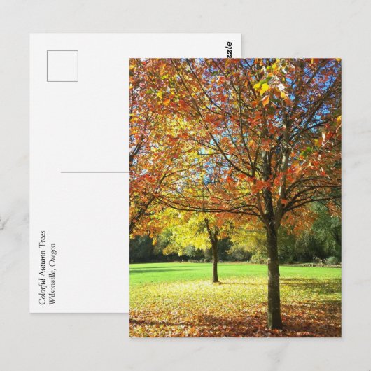 Farbige Herbstbäume Postkarte (Vorne/Hinten)