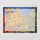 Farbige Herbstbäume Save the Date Ankündigungspostkarte (Rückseite)