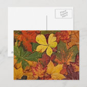 Farbige Herbstblätter auf Postkarte (Vorne/Hinten)