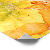 Farbige Herbstblätter. Baumgefallenes Laubmuster. Poster (Ecke)