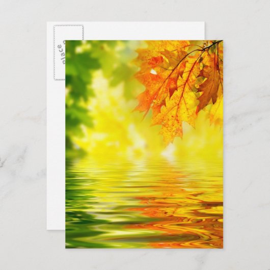 Farbige Herbstblätter, die im Wasser reflektieren Postkarte (Vorne/Hinten)