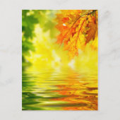 Farbige Herbstblätter, die im Wasser reflektieren Postkarte (Vorderseite)