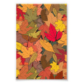 Farbige Herbstblätter Fotodruck (Vorne)