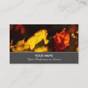 Farbige Herbstblätter in goldenem Sonnenuntergang  Visitenkarte