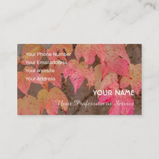 Farbige Herbstblätter in Herbststimmung Visitenkarte (Rückseite)