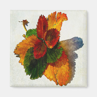 Farbige Herbstblätter Magnet