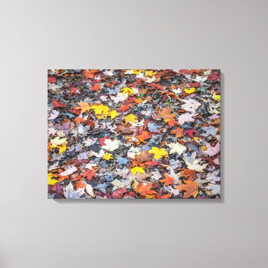 Farbige Herbstblätter mit Leinwand (Vorderseite)