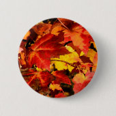 Farbige Herbstblätter orangefarbene gelbe Farben Button (Vorderseite)