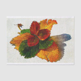 Farbige Herbstblätter Seidenpapier