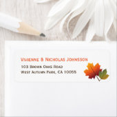 Farbige Herbstfallen-Blätter für Ahorn-Adressen (Insitu)