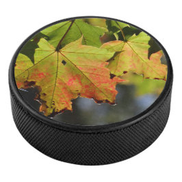 Farbige Herbstlaube Eishockey Puck