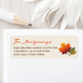 Farbige Herbstlaube Erntedank Rücksendeadresse (Insitu)