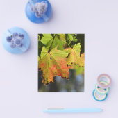 Farbige Herbstlaube Flyer (Einzeln)