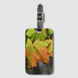 Farbige Herbstlaube Gepäckanhänger