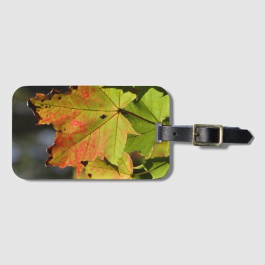 Farbige Herbstlaube Gepäckanhänger (Vorderseite (Horizontal))