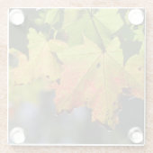 Farbige Herbstlaube Glasuntersetzer (Rückseite)