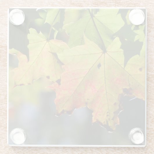 Farbige Herbstlaube Glasuntersetzer (Rückseite)