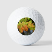 Farbige Herbstlaube Golfball (Vorderseite)
