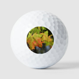 Farbige Herbstlaube Golfball
