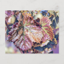 Farbige Herbstlaube mit Herbstfarben Aquarell