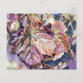 Farbige Herbstlaube mit Herbstfarben Aquarell