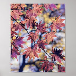 Farbige Herbstlaube mit Herbstfarben Aquarell Poster