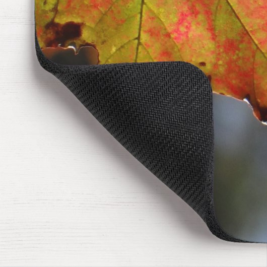 Farbige Herbstlaube Mousepad (Ecke)