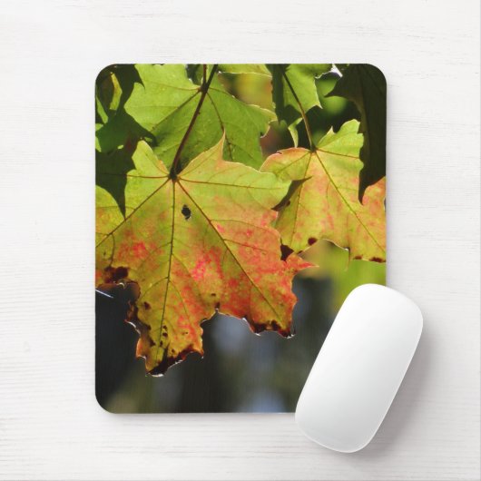 Farbige Herbstlaube Mousepad (Mit Mouse)