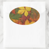 Farbige Herbstlaube Ovaler Aufkleber (Tasche)