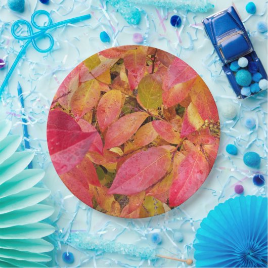 Farbige Herbstlaube Pappteller (Party)