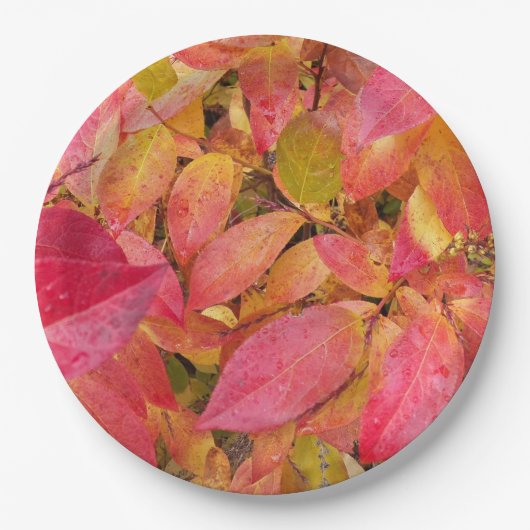 Farbige Herbstlaube Pappteller (Vorderseite)